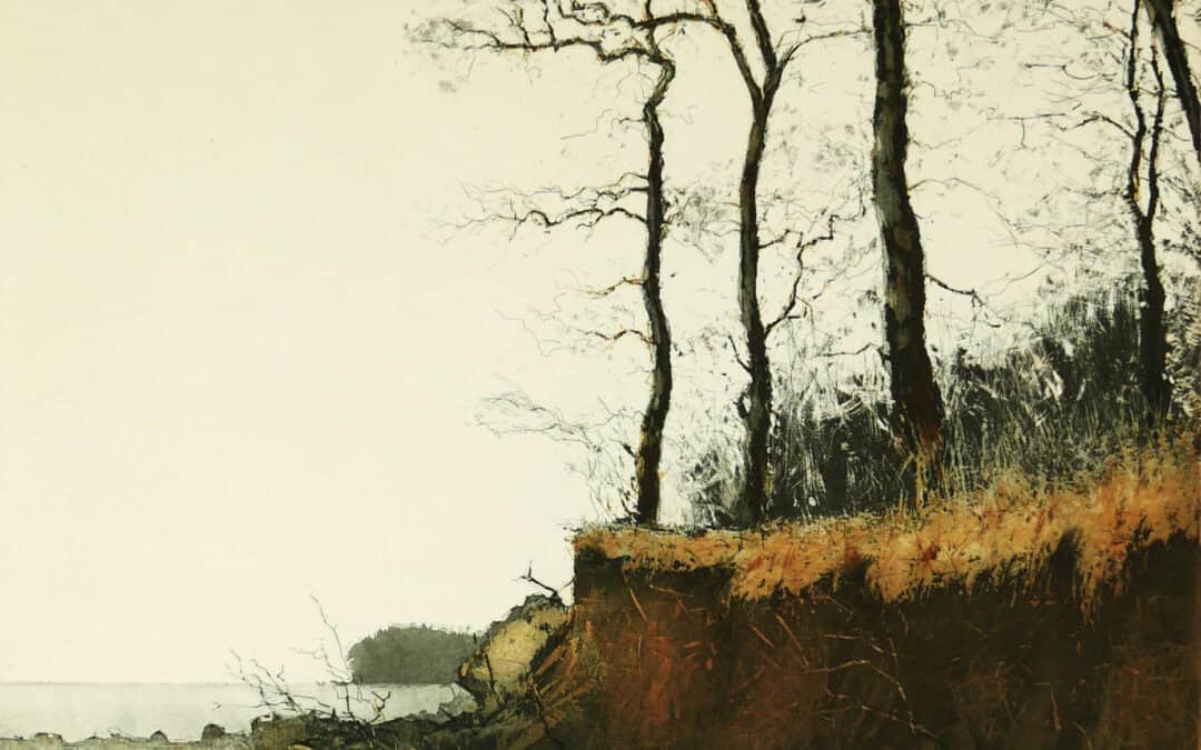 Friedel Anderson