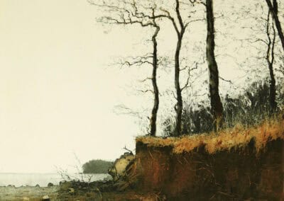 Friedel Anderson