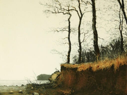 Friedel Anderson